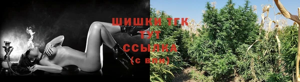 амф Кинешма