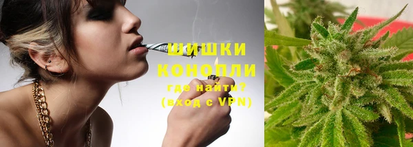 мдпв Киреевск