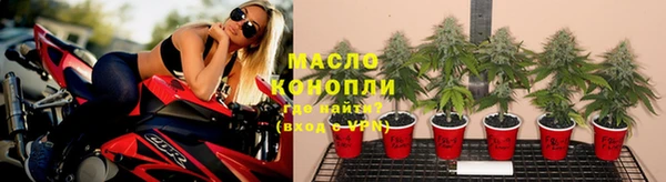 мдпв Киреевск