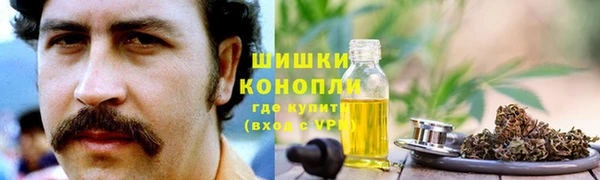 мдпв Киреевск