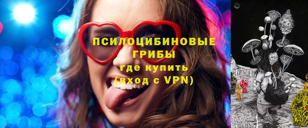 мдпв Киреевск