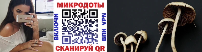 Галлюциногенные грибы Magic Shrooms  дарнет шоп  Долгопрудный 