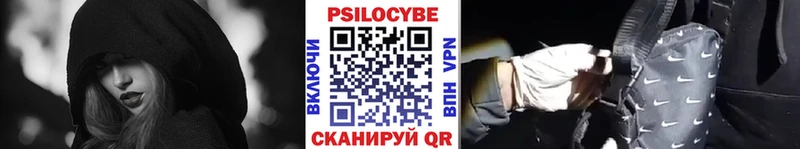 Псилоцибиновые грибы Psilocybine cubensis Долгопрудный